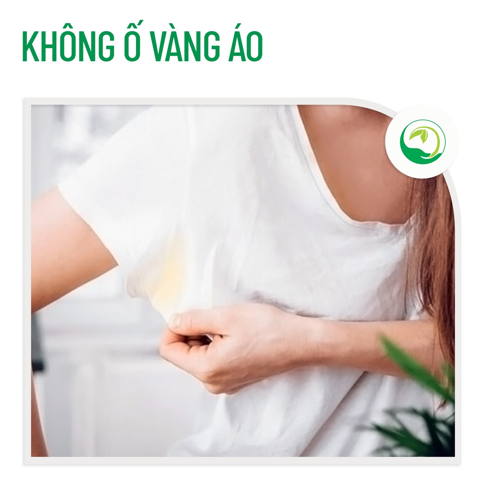 Hôi Nách Nam Thanh Mộc Hương